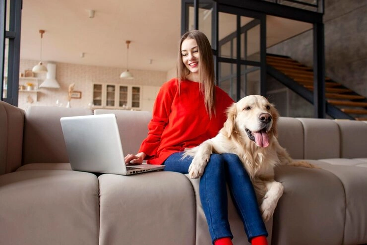 Veterinary Compliance and Timeline Structuring