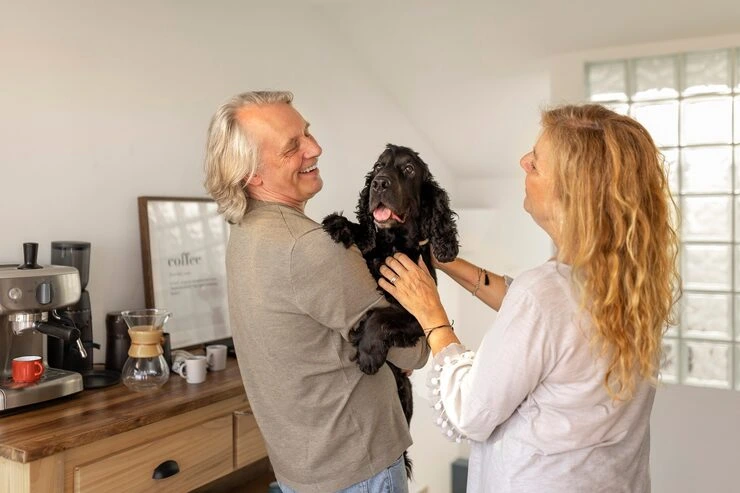 Why Choose Us for Pet Relocation Services From the UK to Vancouver