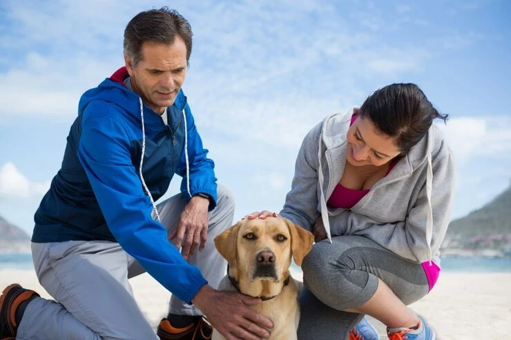 Dog Transport After Hours Services Dubai