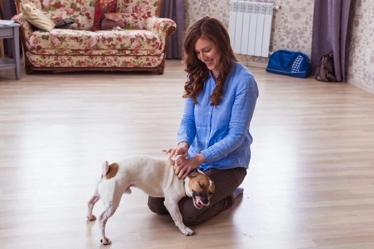 Pet Shipping Services Leeds to Montreal