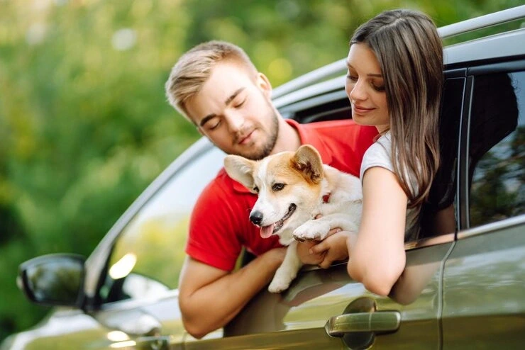Pet Courier Services Manchester to New York