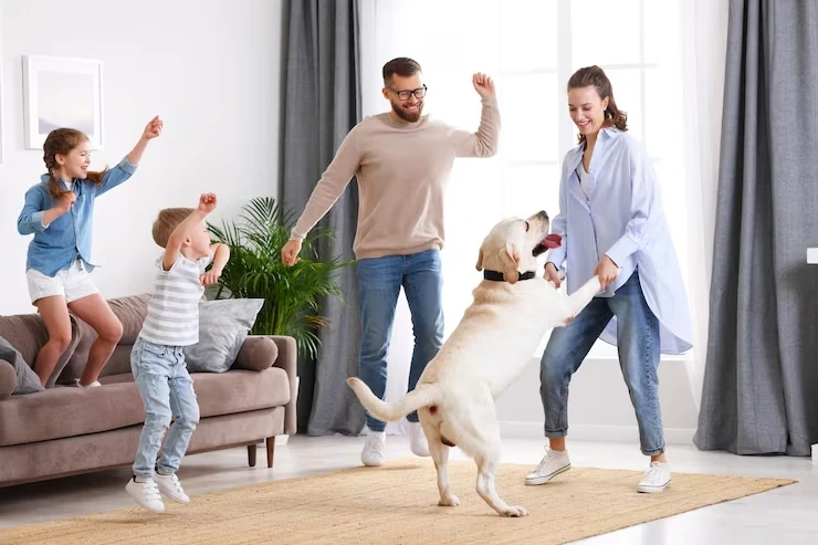 Pet Relocation Services Plymouth to USA