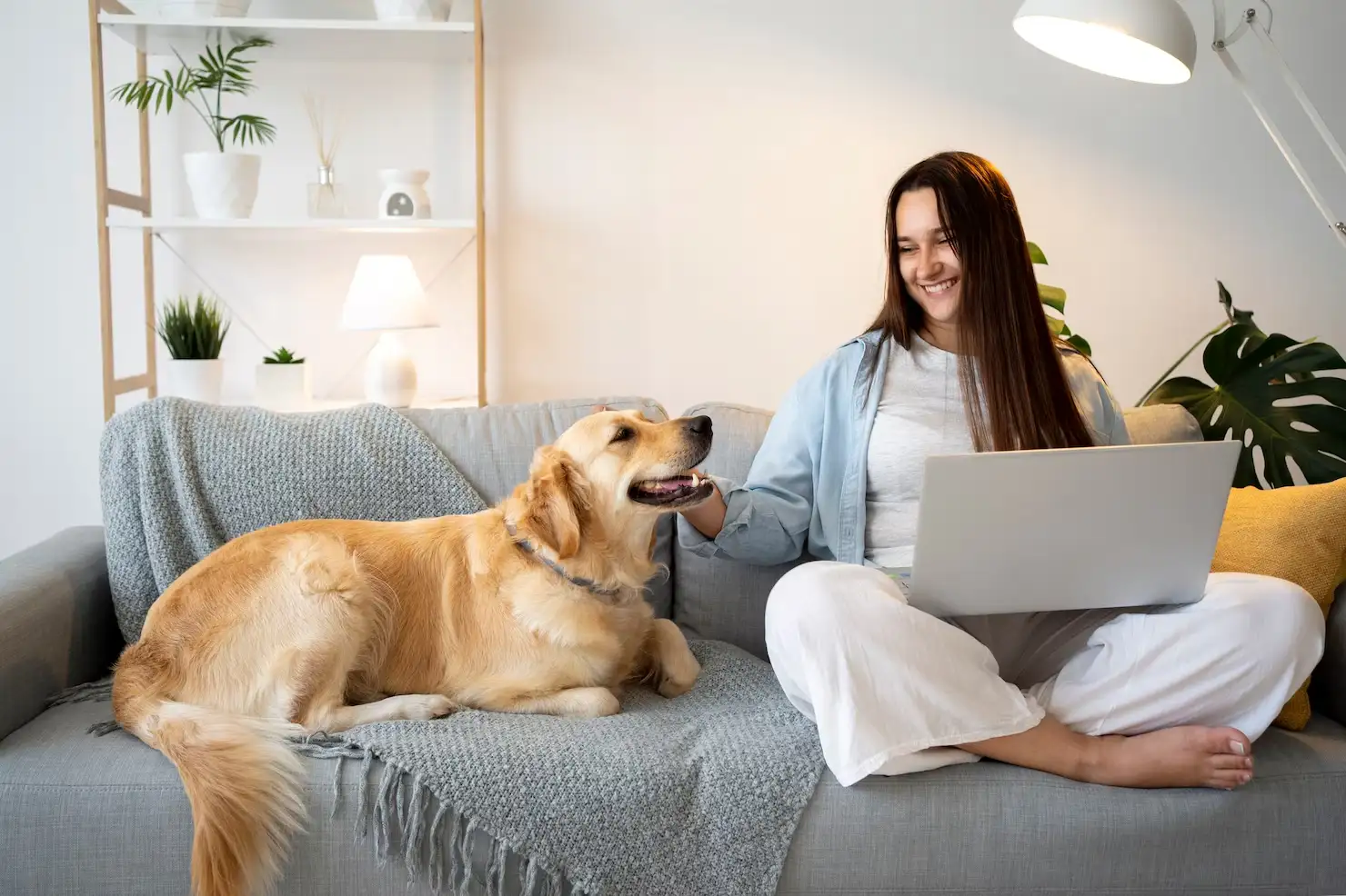Pet Export Services UK to Sweden