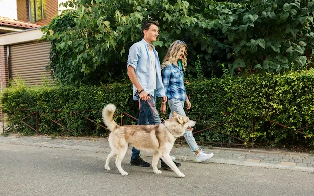diplomatic pet import services UK