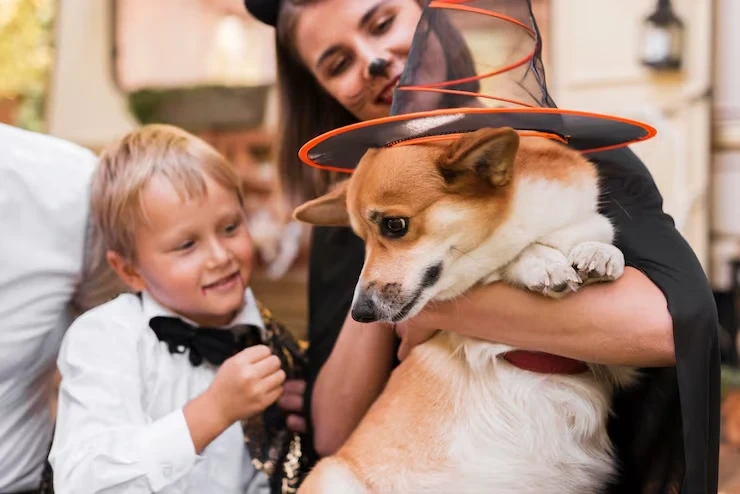 Priority Pet Relocation Services UK