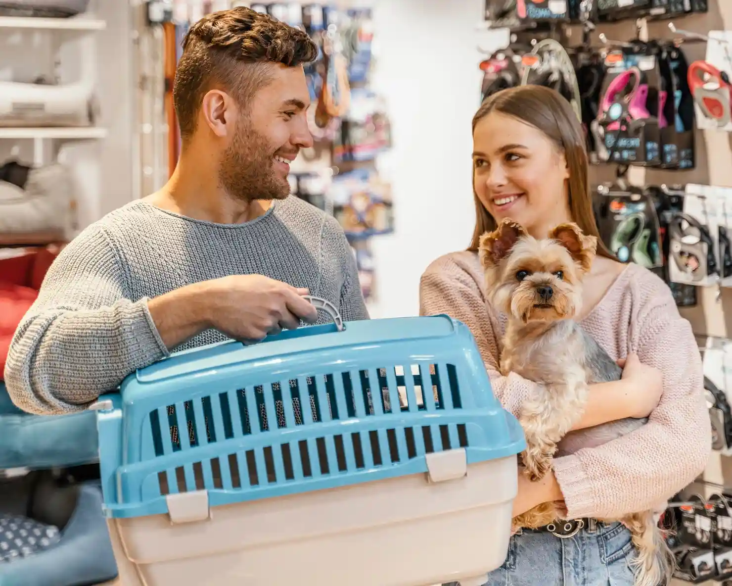 Pet Courier Service Dubai After Hours