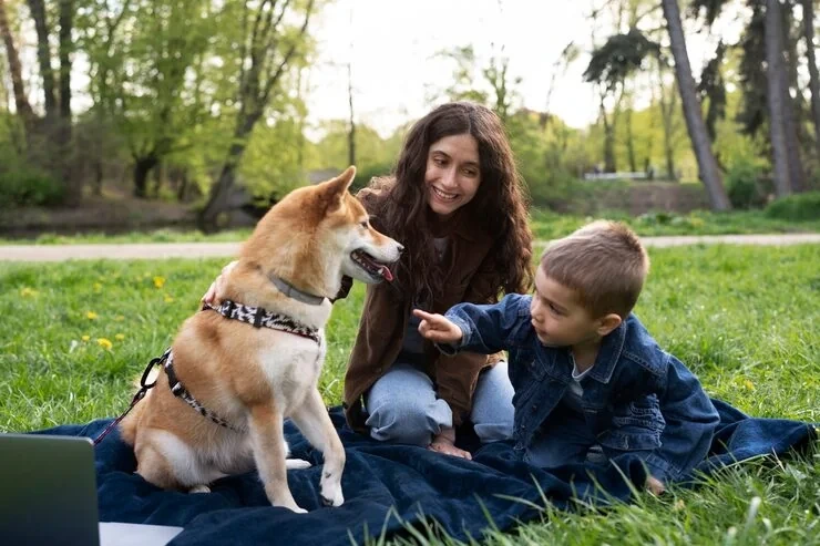Pet Transport Services Plymouth to USA