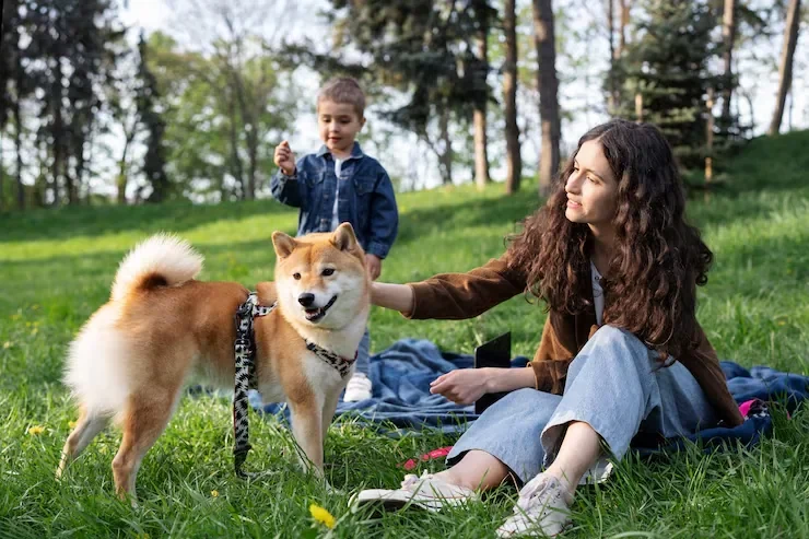 Pet Export Services UK to Switzerland