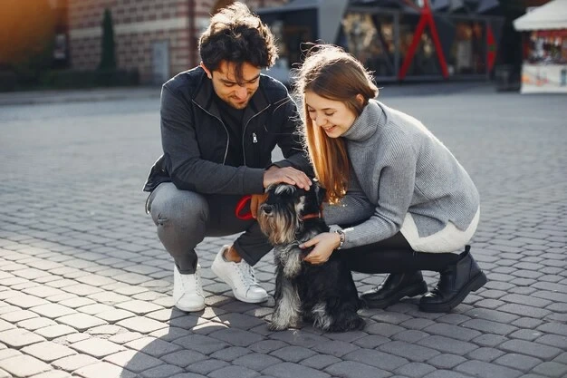 pet relocation for foreign service families