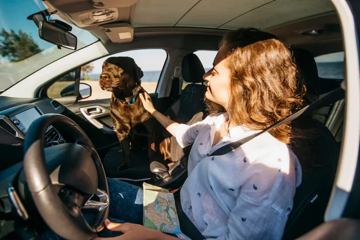 Licensed Pet Transfer Services Leicester