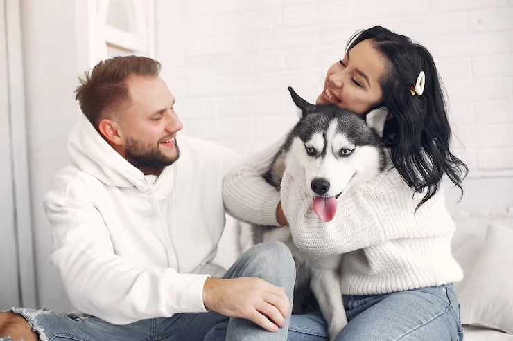 Pet Moving Services Leeds to Montreal