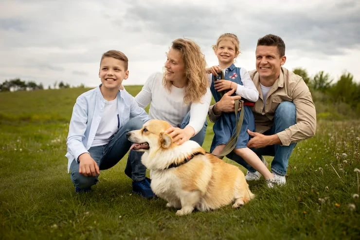 Licensed Pet Transport Plymouth to USA