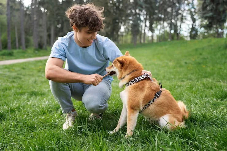 Pet Import Services Switzerland from UK