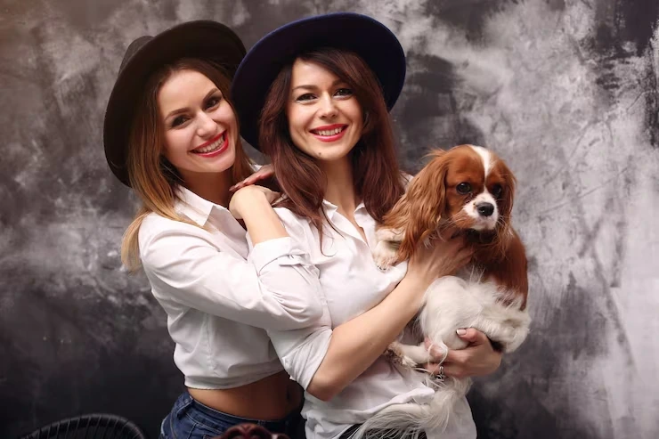 Premium Pet Transport Services UK to Switzerland