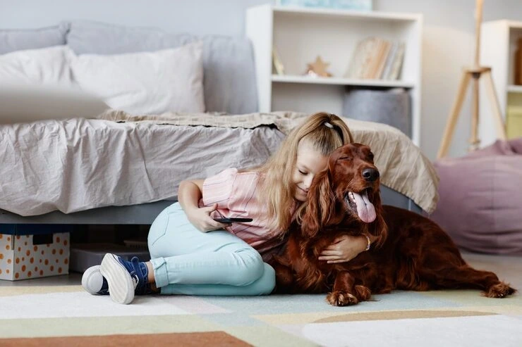 Premium Pet Transport services Leeds to Montreal