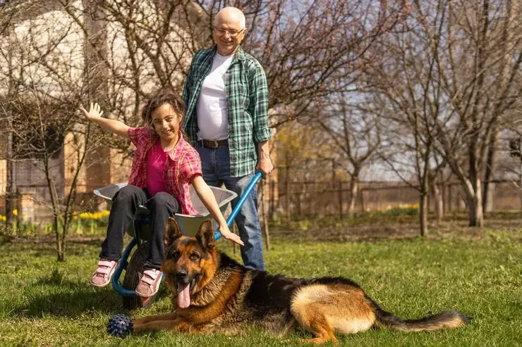 Door to Door Pet Transport Services Plymouth to USA