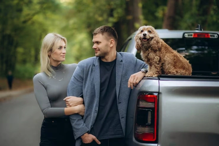 Secure Pet Transport Services Leicester