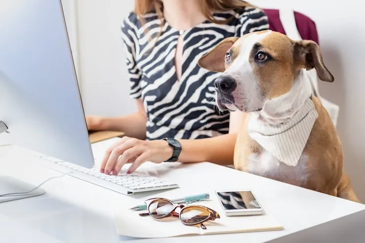 Pet Shipping Services Liverpool to Riyadh