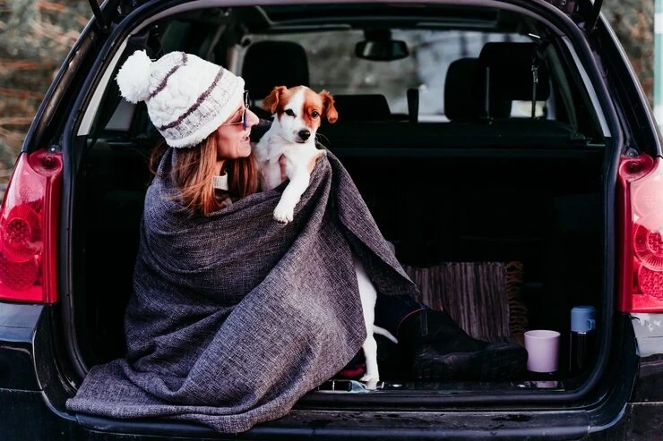 Safe Pet Transport Services Manchester to New York