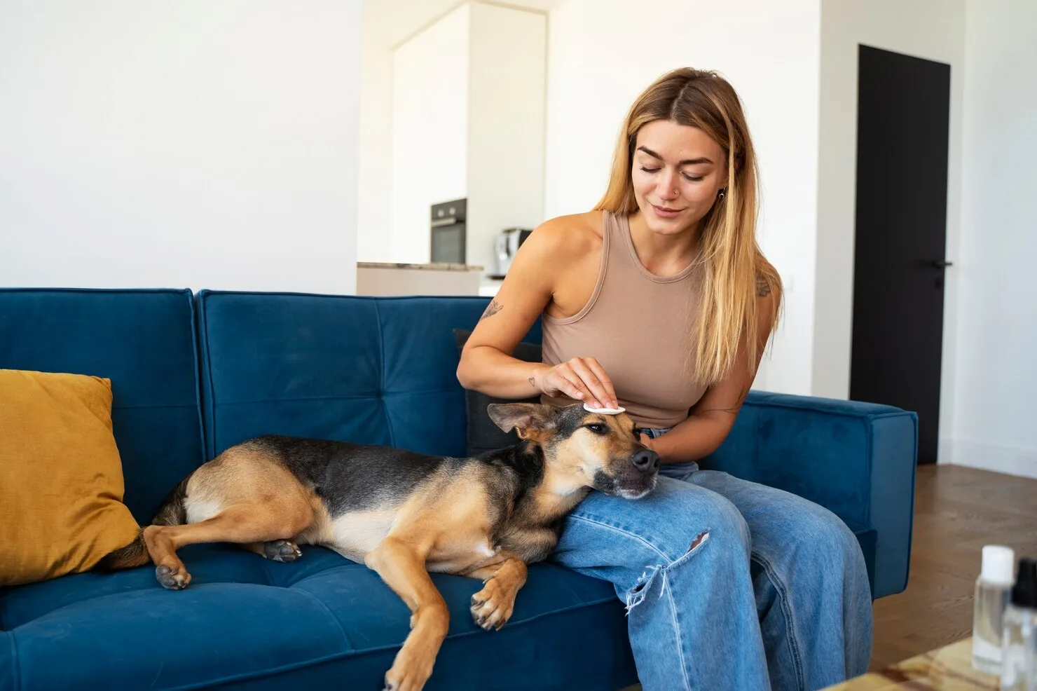 Pet Transport Services UK to Charlotte