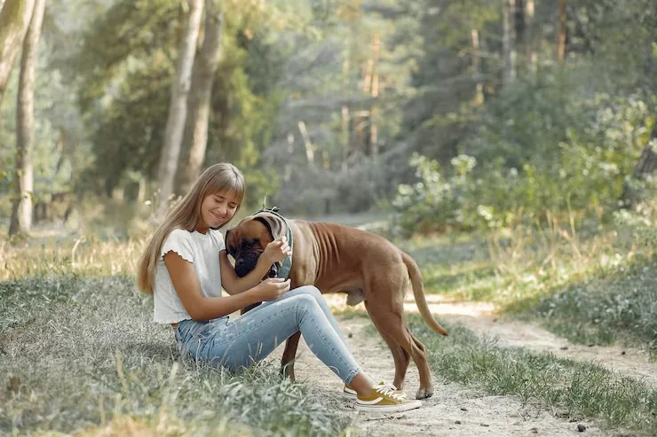 International Animal Relocation Services UK to Switzerland