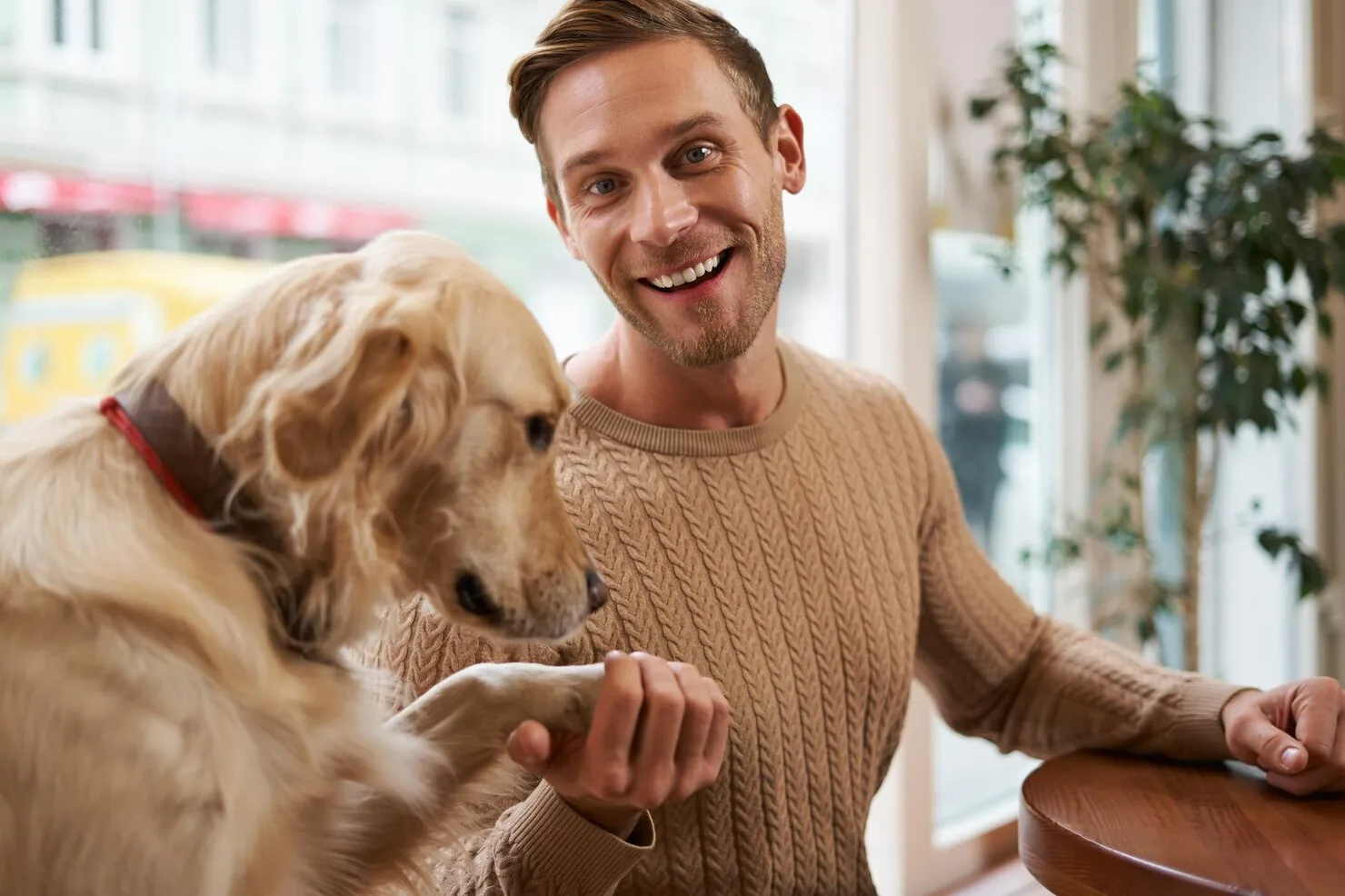 24 Hour Pet Relocation Services Dubai