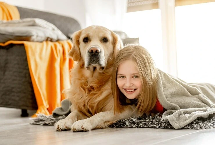 Pet Courier Services Leeds to Montreal