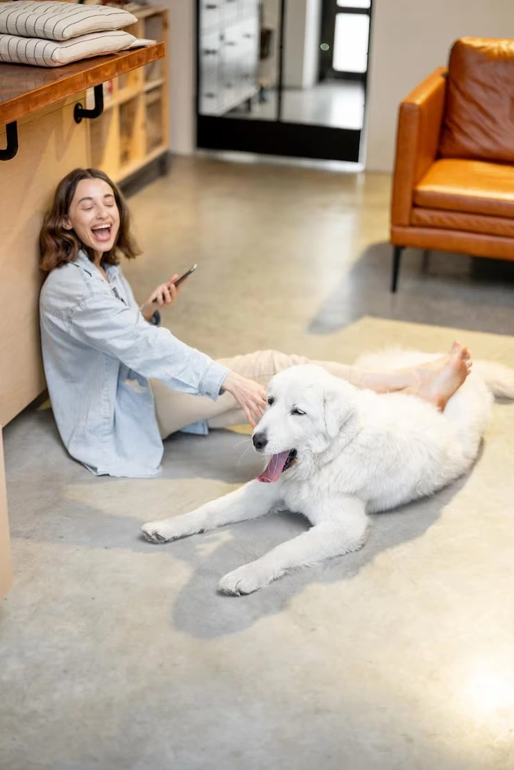 Door to Door Pet Transport Services Leeds to Montreal