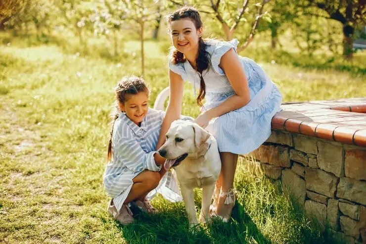 Pet Moving Services Plymouth to USA