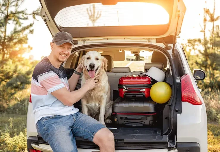 Specialist Pet Relocation Service Plymouth to USA
