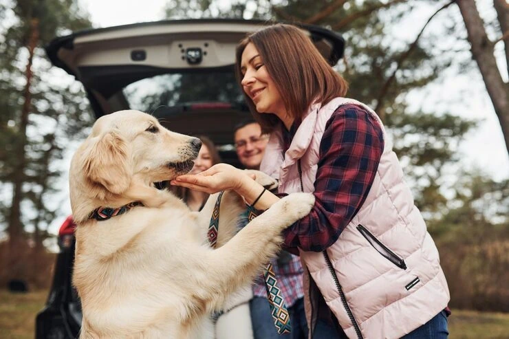 Premium Pet Transport Services Manchester to New York