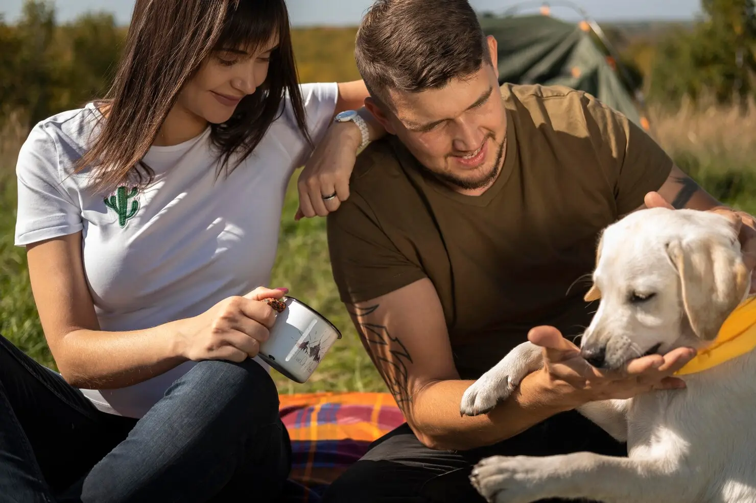 Dog Transport Services UK to Sweden