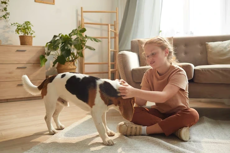 Licensed Pet Transport Services Leeds to Montreal