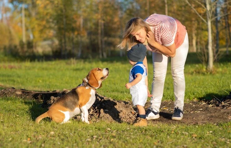Animal Transport Services Plymouth to USA