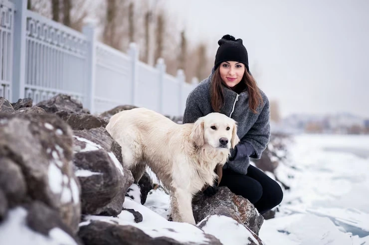 Professional Pet Relocation Services UK to Switzerland