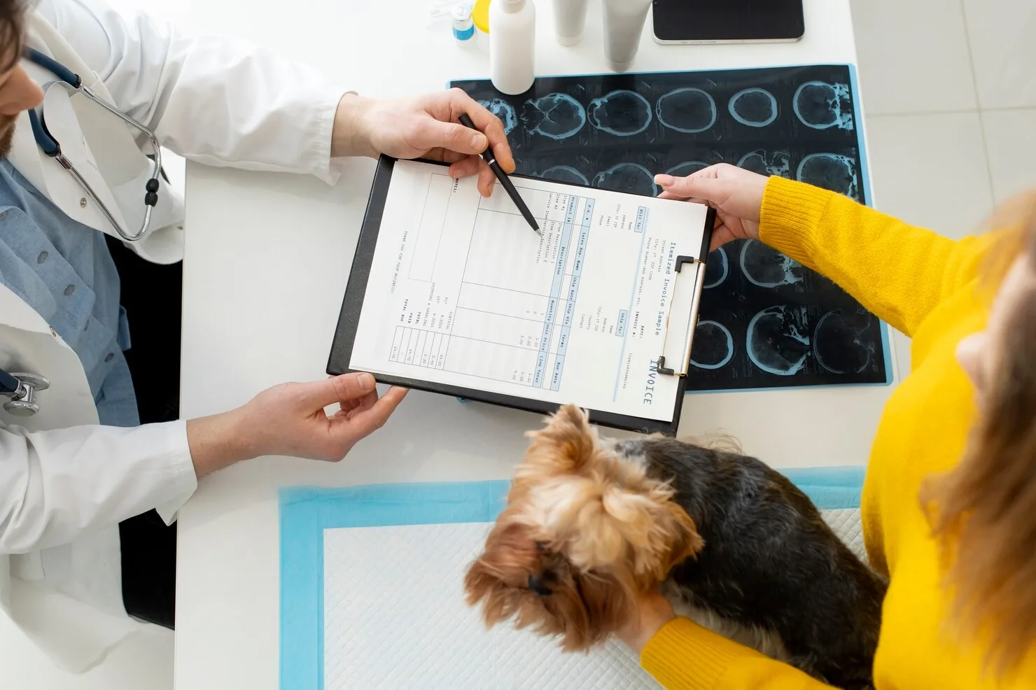 Trusted Pet Relocation Services Leeds to Montreal