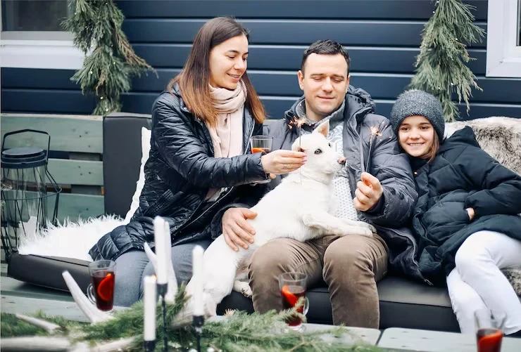 International Pet Relocation Coordination