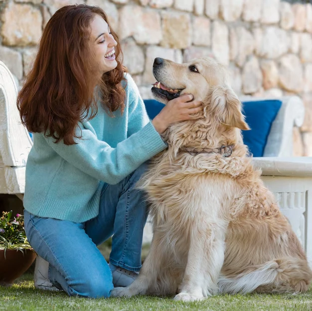 Luxury Pet Transport for Therrapy Animal