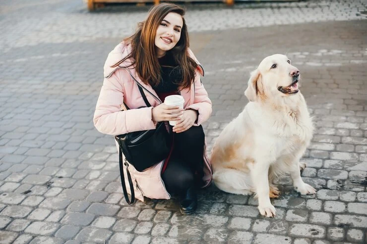 Pet Relocation Service Bradford