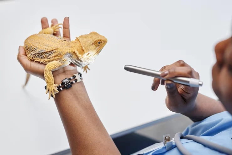 Species Specific Handling Preparation