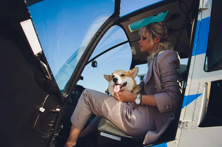 Airline Booking and Exotic Animal Transport Coordination