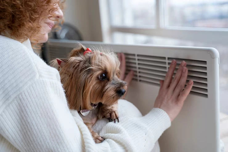 Climate Consideration and Heat Management