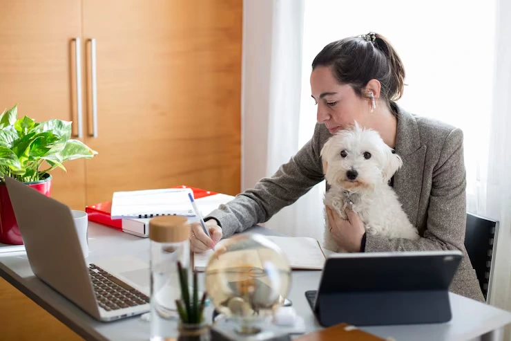 Corporate Pet Relocation Services for Global Employee Transfers