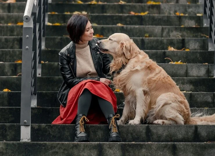 Door to Door International Pet Relocation