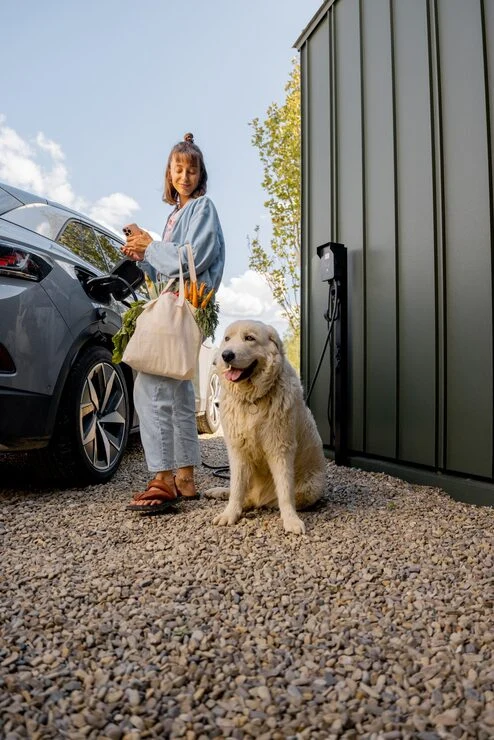 Door to Door Pet Relocation