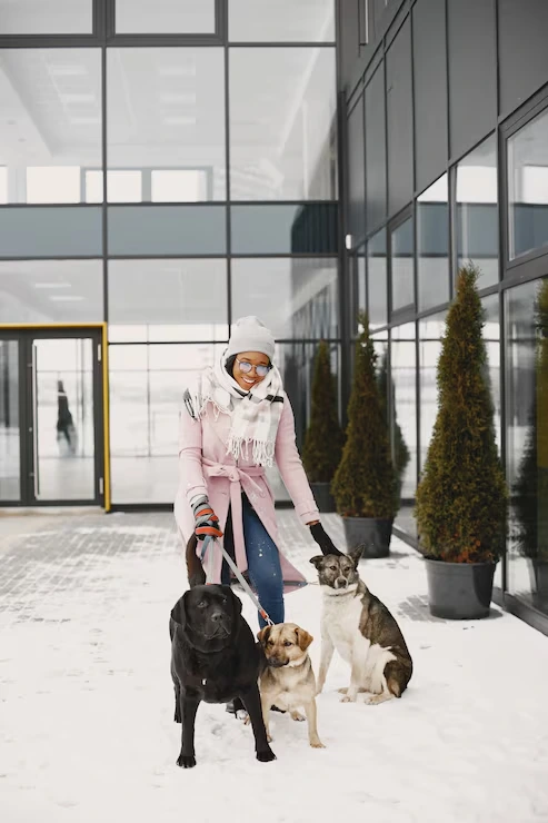 Door to Door Pet Transport UK to Canada
