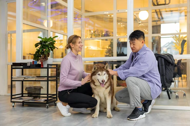 International Pet Transport Coordination for Employees