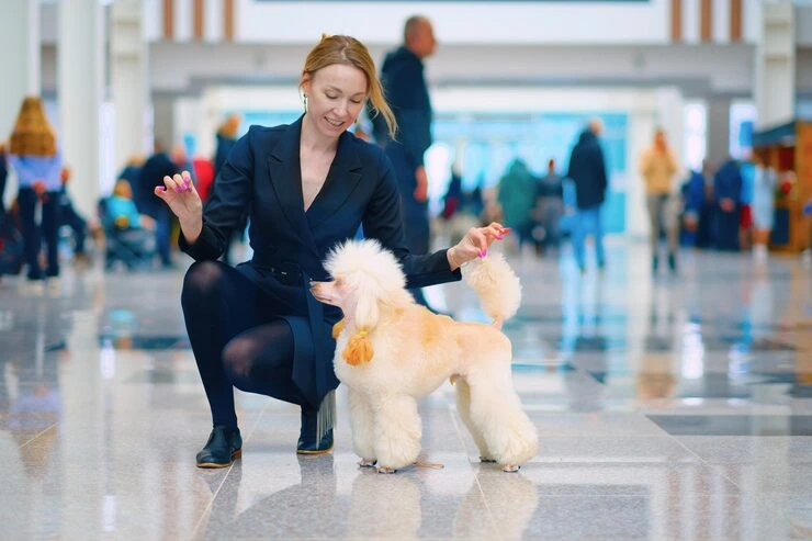 International Show Dog Transport for Global Competition Travel