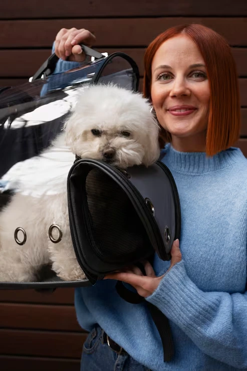Luxury Pet Transport Services for Pets With Special Medical Needs