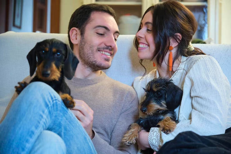Multi Pet and Family Relocation Support